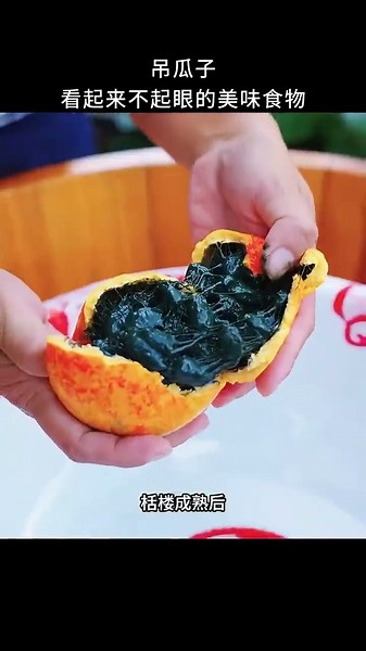 看似不起眼卻美味至極的吊瓜子 #有趣的冷知識 #科普 #吊瓜子