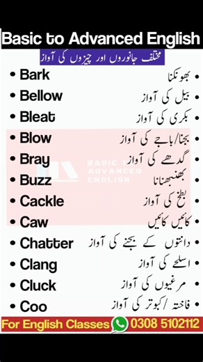 371K views · 2.6K reactions | #vocabulary #vocabularywords #English #learnenglish #learnenglishonline #englishteacher | Basic to Advanced English | Facebook