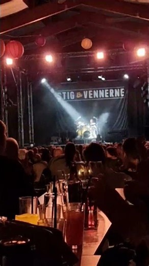 stig & vennerne