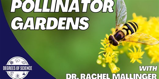 Degrees of Science: Pollinator Gardens