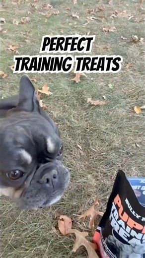 Tiny Treats Big Training Results