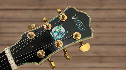 All About Wolf Guitars - CMUSE