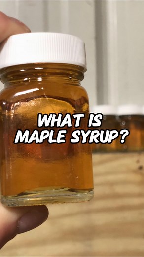 Nikki Boxler - The Maple Farmer on Instagram: "What is REAL maple syrup? 🍁 #realmaplesyrup maple"