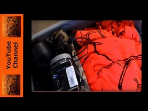 DON'T SPEND $100? DIY Scent-lok tote