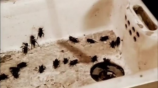 The Prodigy-Breathe (Official Music Video)