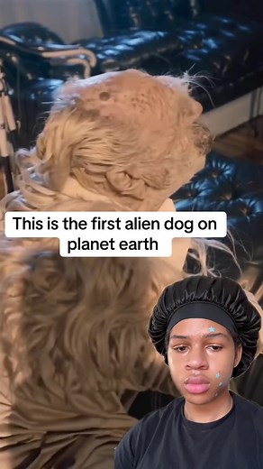 Discover the First Alien Dog on Earth