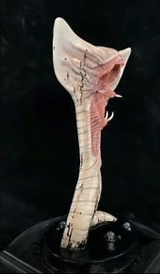 1:1 Scale “prometheus” Trilobite (heptopus) Statue – 38 Cm Polystone Collectible - Etsy