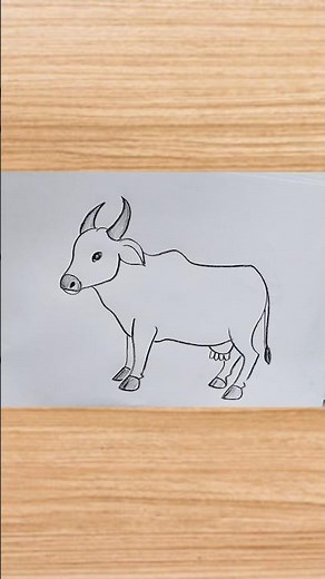 how to cow drawing easy step by step