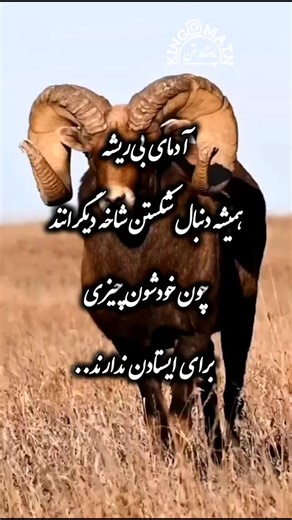 ‎🔱پادشــــاه متن🔱‎ on Instagram‎: "✍️حرف ناب 👌❤️(سپاس از همراهیتون🌹) دوست داشتی پیجمو فالو کن👈@king__matn @king__matn"‎