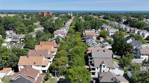 Lakewood to give away 200 trees. Here’s how to get yours