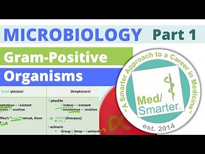 Microbiology | Gram Positive Organisms | Part 1