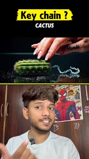 Key Chain 🌵🤔❓||#shorts ||