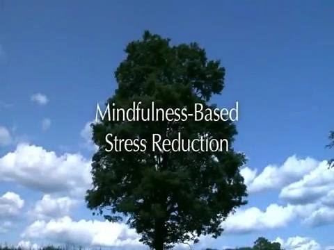 Mindfulness-Based Stress Reduction (UMass Medical School, Center for Mindfulness)