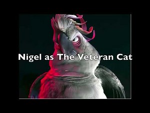 Thomas (Bolt) Cast Video