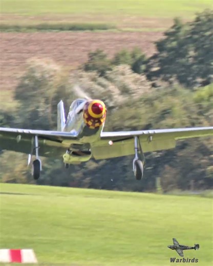 🔥 P-51D Mustang Nookie Bookie IV – The Flying Bulls Airshow Legend! #shorts