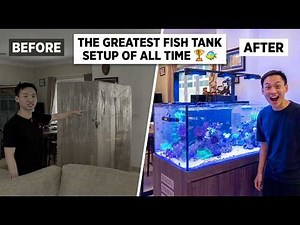 You’ll Never See Fish Tank Setup Like This Again 👀🐠