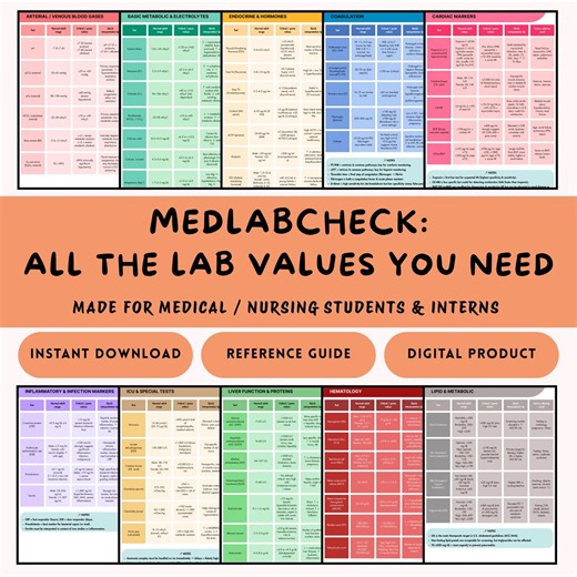 Naslaggids Clinical Lab Values: medische studiegids (pdf-download) - Etsy Nederland