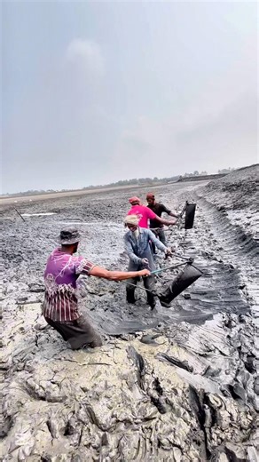 Incredible rural technique for making a fish pond bank with mud. 🌱#viral #fyp #viralvideo #shorts
