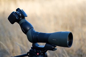 Swarovski ATX 85mm Scope and TLS APO adapter review • Tobias Hjorth Nature Photographer