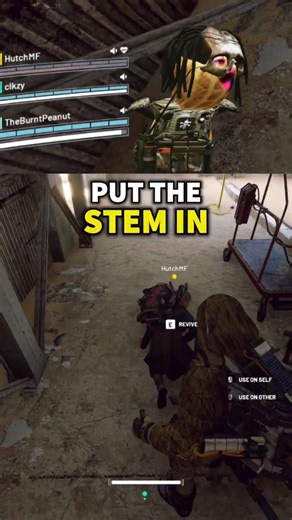 Peanut & Hutch Forgot They Were LIVE… 😳