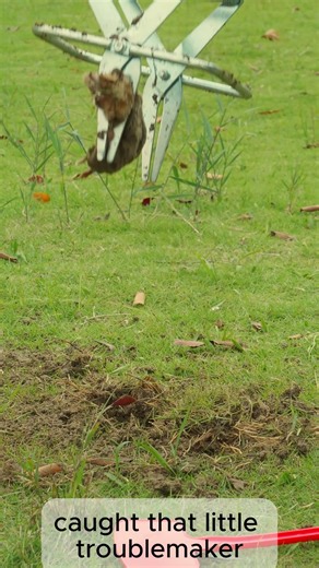 Anson Polaflex | Yard getting torn up by moles? The Polaflex Mole Trap is easy, fast, and crazy effective. Set it, step it, flag it — done. 👉... | Instagram