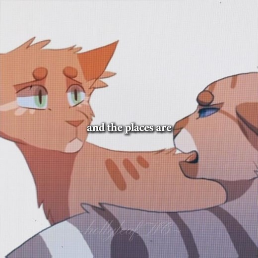 objection | ivypool and dovewing edit | requested | #warriorcats #editsong