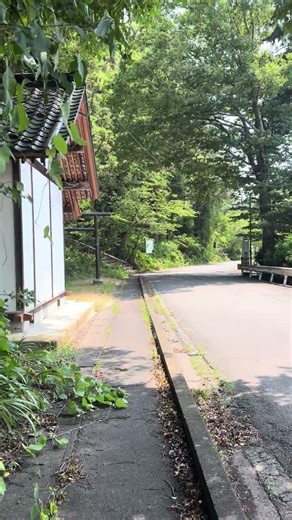 真夏は日陰を歩こう #nature #自然 #田舎