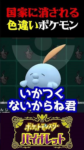 【非公開覚悟】遂に国家の○○を敵にする色違いポケモンが送られて来たww【ポケモンSV】【スカーレット・バイオレット】【うさごん】