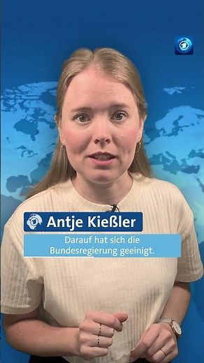 Ein Gerichtsurteil soll für die Ausweisung und Abschiebung nicht nötig sein. #tagesschau #mannheim