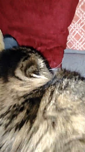 mama keeps whooping my as..(2)