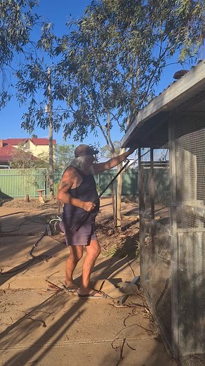 4th snake this week #livingintheoutback #python #carpetsnake #legend