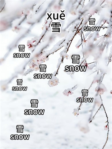 Learn the Chinese Word for Leopard