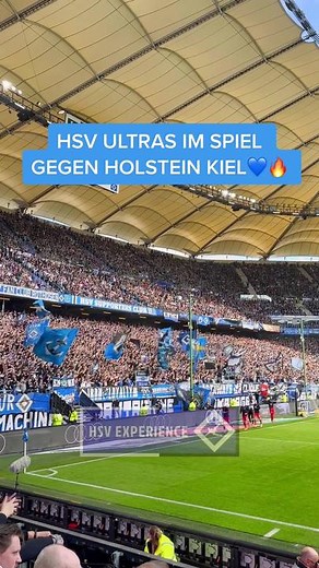 Die NORDTRIBÜNE im letzten Heimspiel gegen Holstein Kiel 💙⚓️ #hsv #nurderhsv #ultras #fans #bundesligatiktok #volksparkstadion #foryou #fyp #hsvksv #hsvkiel #sportsmoments #hamburg #chants #fanpage #football #supporter #fussballmomente #nordtribüne #hsvforever #myclub #viral