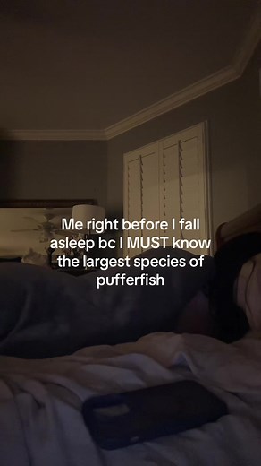 Starry Pufferfish: The Largest Species Explained
