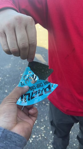 Carlos Arredondo (@quikitoarredondo1)’s videos with sonido original - Carlos Arredondo