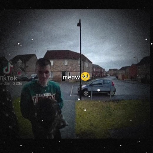 Adorable Cat Making WA Sounds Compilation