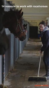 There are so many reasons to work with racehorses, so why wait to kickstart your career in racing!🏇 Apprenticeships✅ Early Career Programmes✅ Courses✅ Work Experience✅ There are so many ways into our industry! Find out more 👉 https://careersinracing.com/career-sectors/ | Careers in Racing