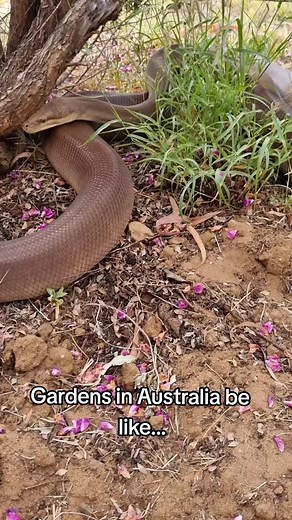 Shannon Mathes on TikTok