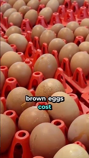 What is the Real Difference Between Brown and White Eggs?