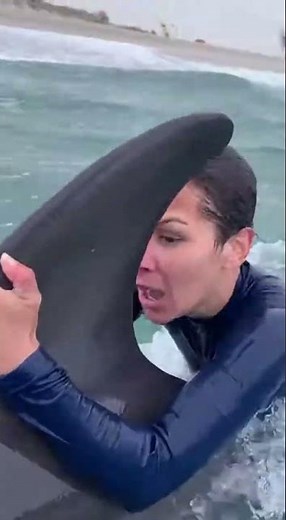 Dolphin Saves Drowning Swimmer in Rip Current 🐬🌊