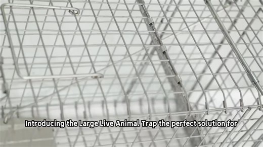 Larsen Magpie Trap Folding Galvanised Steel Pest Bird Cage Trap Animal Live Trap