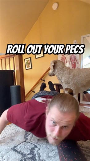 Myofascial Release and Mobility Work for the Pecs - Foam Rolling