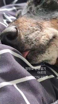 #pvo #혀 나와😘🤣 #인생일기 #장민호 #어르미