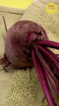 Baking Beetroot Brownies |Our Family Shorts | CBeebies #cbeebies #bafta #eid #ourfamily