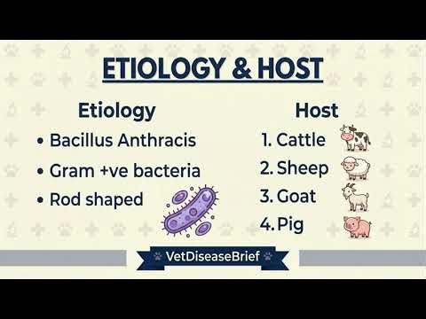 Anthrax in Animals: Symptoms, Diagnosis, and Treatment | VetDiseaseBrief
