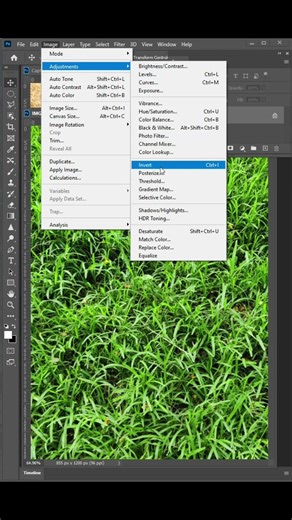 How to edit green grass to dry grass in Photoshop #skills #editing #photoshopskills #education