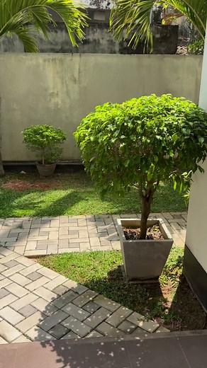 Get your hands on Abans Mistral 16-inch stand fan to stay cool in the heat! ☀️💨• Comes with a 2-year warranty• Enjoy island-wide delivery• Flexible installment plans available• Includes remote control for convenience• Offers multiple speed options• Durable construction for long-lasting useVisit your nearest Abans showroom or shop online at buyabans.com 💻 Link to purchase the product 🔗 https://buyabans.com/mifnpd16j15r #yamu #yamureview #abans #mistral #standfan #beattheheat #buynow #fyp #fory