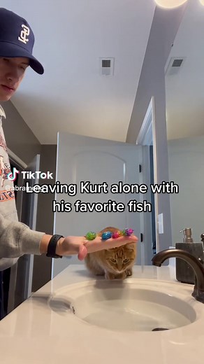 Crying Fish: Kurt the Cat's Favorite Companion
