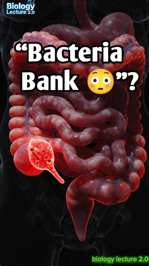 आपके पेट में छिपा है Bacteria Bank! सच जानकर हैरान रह जाएंगे 😱 #shots #ytshorts #shotsfeed #apendix