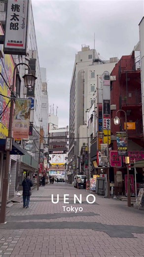 Gladys on Instagram: "Winter magic in Ueno ❄️🇯🇵 #japan"